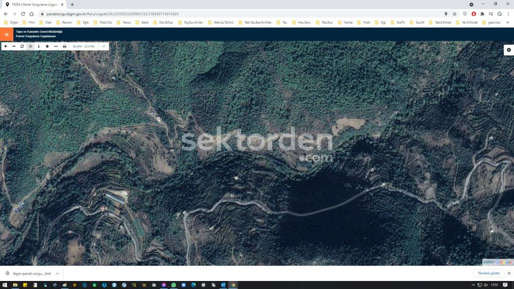 GAZİPAŞA DOĞANCA AVOKADO & MEYVE BAHÇESİ İÇİN HAZIR BAHÇE