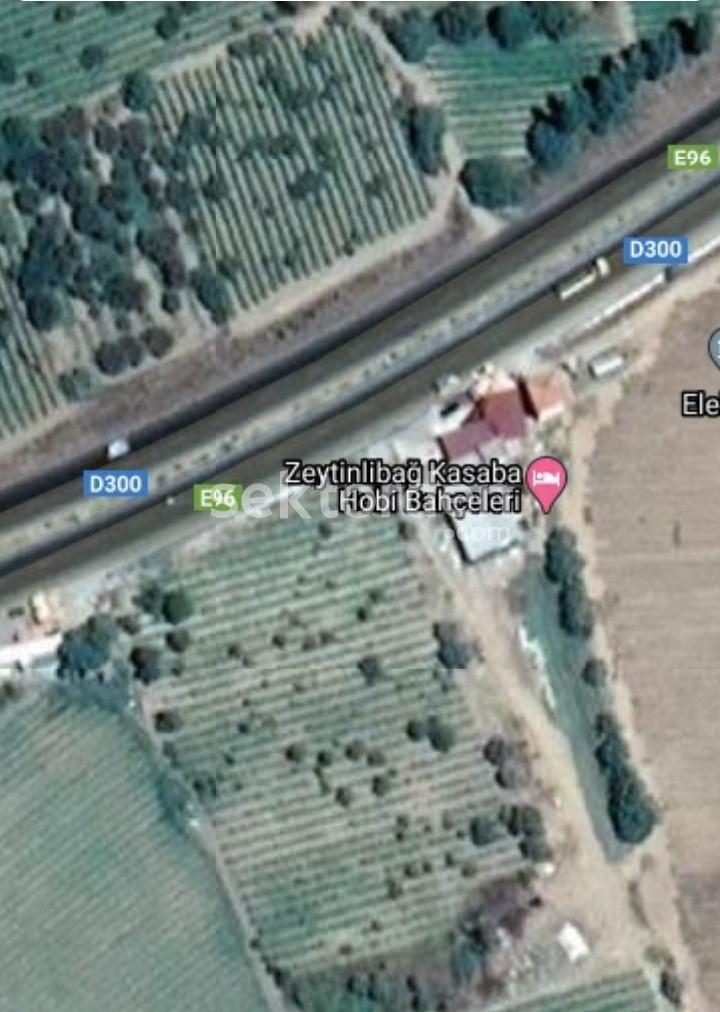 MANİSA TURGUTLU AKÇAPINARDA SATILIK 225 M2 HOBİ BAHÇESİ