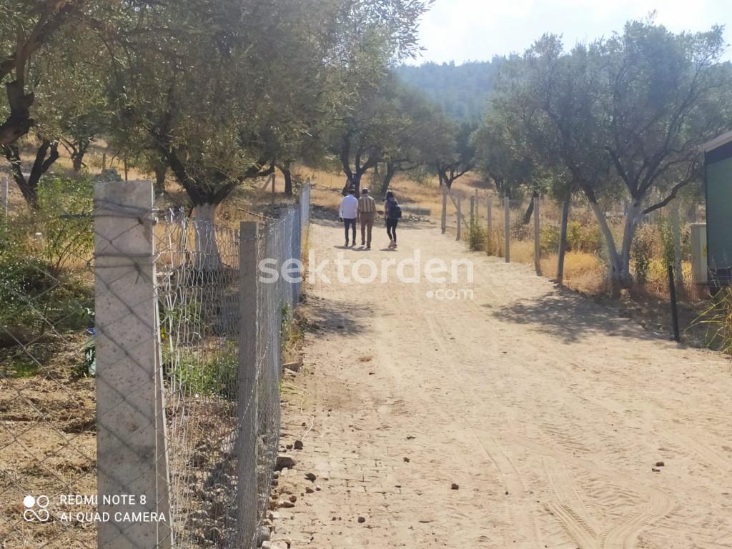MANİSA TURGUTLU AKÇAPINARDA SATILIK 225 M2 HOBİ BAHÇESİ